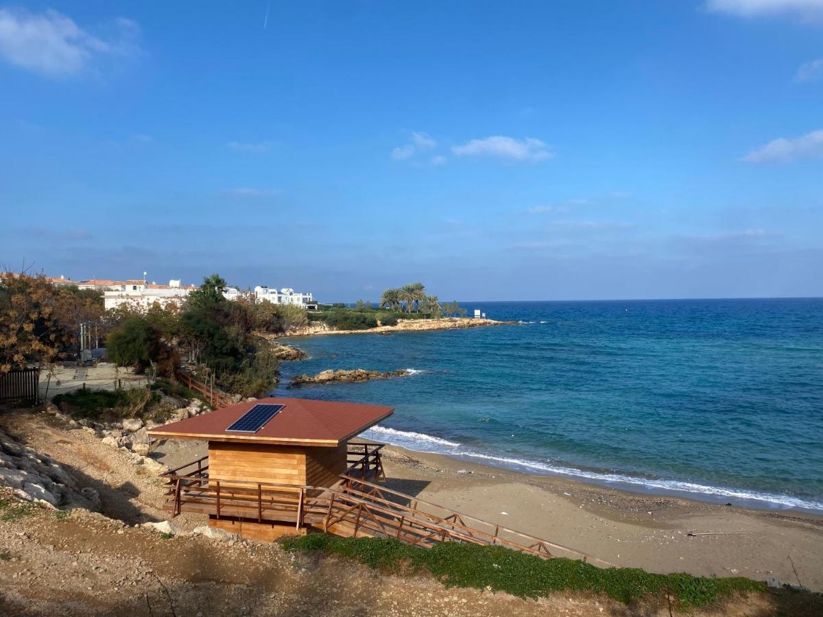 Olive Tree Villa - Protaras Eksteriør bilde