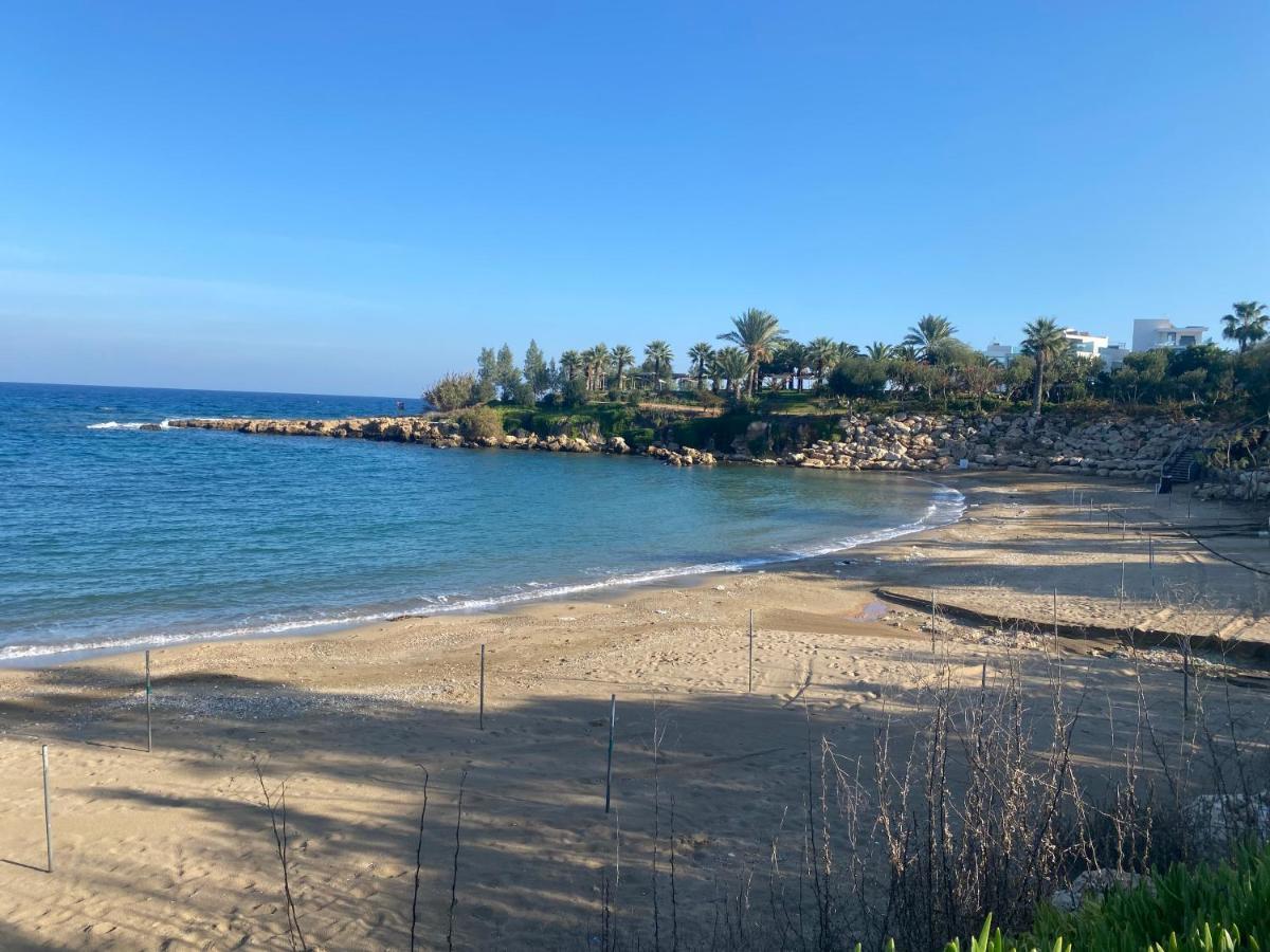Olive Tree Villa - Protaras Eksteriør bilde
