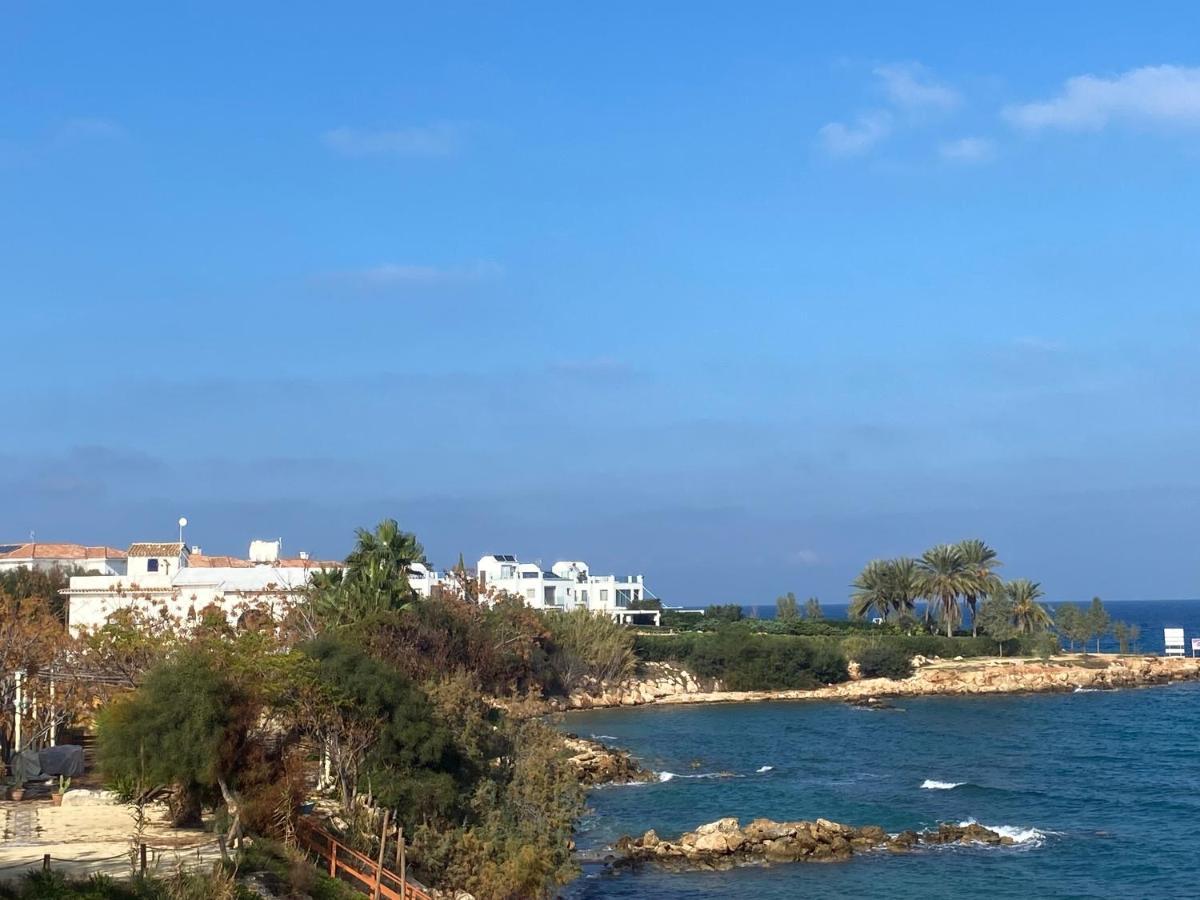 Olive Tree Villa - Protaras Eksteriør bilde